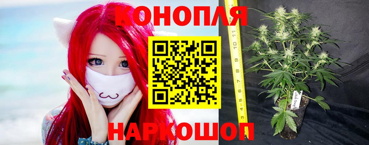 Бошки Шишки семена  Вход с VPN  Приморско-Ахтарск  Каннабис Bruce Banner  Конопля планчик 